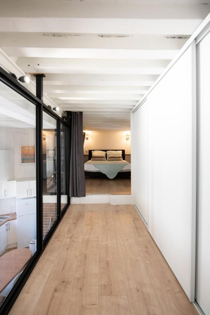 Le Ferratiere - Moderne Industriel Du Vieux Lyon Lejlighed Eksteriør billede